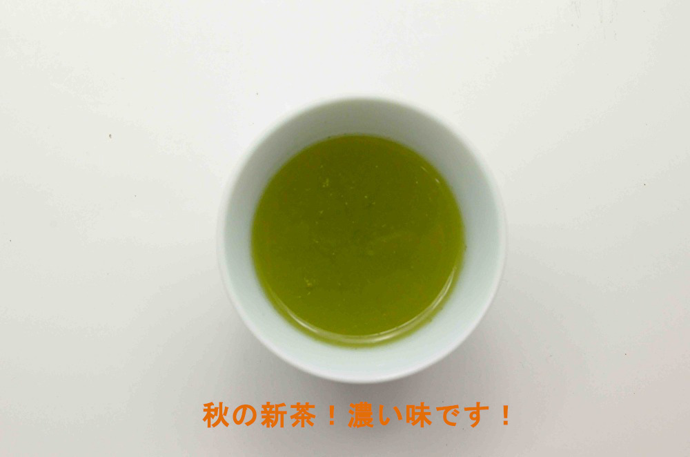 A【発売中】【贈答袋入り】秋摘み新茶 もみじ 　【送料込】