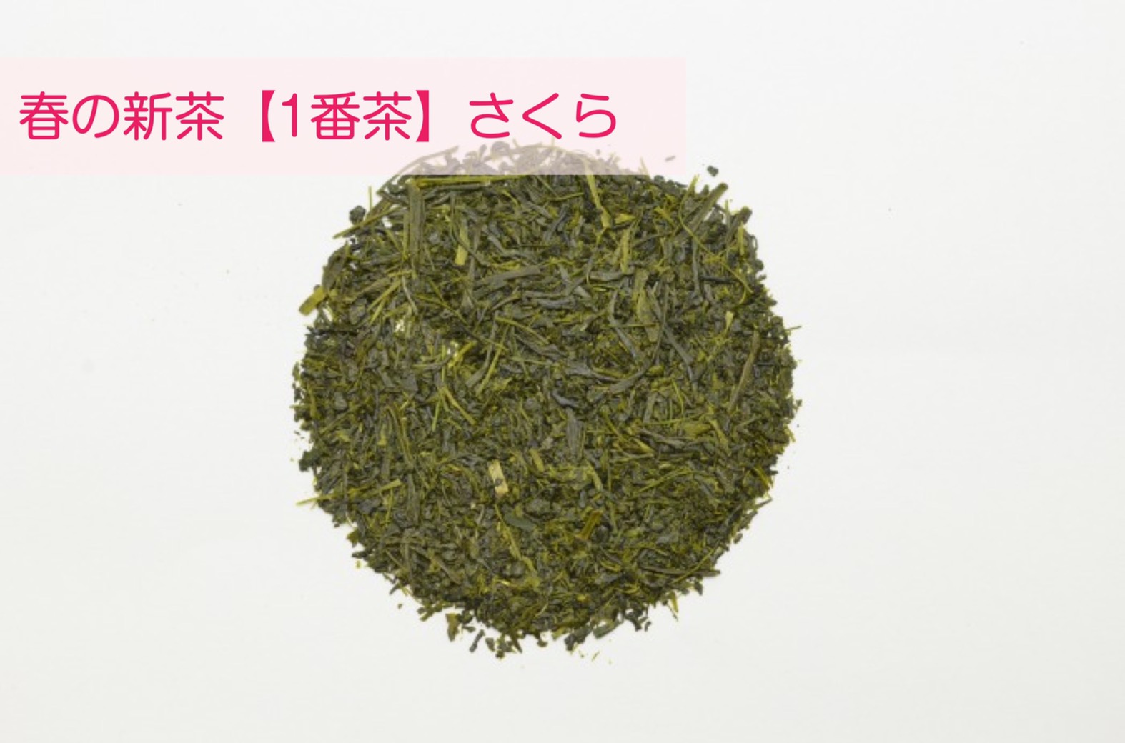 A⑤【発売中】100g×2缶　秋摘み新茶ギフト